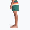 Szorty kąpielowe męskie Quiksilver Everyday Printed Volley 15" forest outside stripe 4