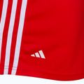 Spodenki bokserskie adidas Boxing Shorts czerwone ADIBTS02 3
