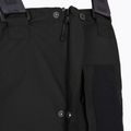 Spodnie narciarskie męskie Picture Testy BIB 10/10 black 11