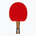 Zestaw do tenisa stołowego JOOLA Family Advanced Set 2