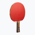 Zestaw do tenisa stołowego JOOLA Family Advanced Set 12