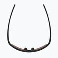 Okulary przeciwsłoneczne Alpina Eagle Q-Lite black matt/red mirror 4