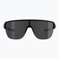 Okulary przeciwsłoneczne Alpina Ram 2.0 Q-Lite black matt / silver mirror 2
