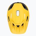 Kask rowerowy UVEX Quatro Integrale sunbee/black 6