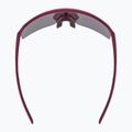 Okulary przeciwsłoneczne UVEX Ramp burgundy matt/mirror rose 5