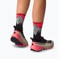 Skarpety DYNAFIT Traverse Crew black out ultra coral/6a10 8