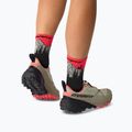 Skarpety DYNAFIT Traverse Mid black out ultra coral/6a10 8