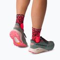 Skarpety DYNAFIT Run Wild Mid ultra coral/0910 9