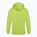 Bluza męska Alpha Industries Basic hornet green 2