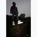 Buty turystyczne damskie Jack Wolfskin Wild Hike Texapore Mid oyster 13