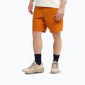 Buty turystyczne męskie Jack Wolfskin Wild Hike Texapore Low oyster 8