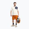Buty turystyczne męskie Jack Wolfskin Wild Hike Texapore Low oyster 9