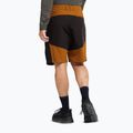 Buty trekkingowe męskie Jack Wolfskin Apex Hike Texapore Low black 9