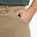 Spodenki trekkingowe męskie Jack Wolfskin Pico hazel wood 4