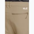 Spodnie trekkingowe męskie Jack Wolfskin Pico Trail hazel wood 5