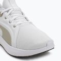Buty do biegania PUMA Softride Carson puma white/desert dust 7
