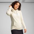 Bluza damska PUMA ESS No. 1 Logo Hoodie TR alpine snow 3