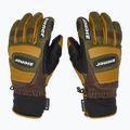 Rękawice narciarskie męskie ZIENER Guard GTX + Gore Grip PR alpine dark/brown 4