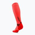Skarpety kompresyjne męskie CEP Run Tall 5.0 neon coral 3