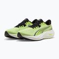 Buty do biegania Puma Electrify Nitro 5 sunny lime/puma black 2