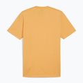 Koszulka męska PUMA Essentials Heather Tee ginger tea 2