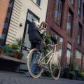 Fotelik rowerowy Urban Iki U-me Easyfix black/brown 7