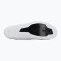 Buty szosowe męskie Shimano SH-RC503 white 4