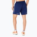 Spodenki do biegania męskie ASICS Icon performance blue expanse/birch 3