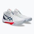 Buty męskie ASICS Sky Elite FF MT 3 white/mako blue 10