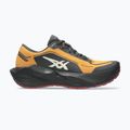 Buty do biegania męskie ASICS Novablast 6 GTX sandstorm/black 2