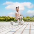 Rowerek biegowy trójkołowy Globber Learning Trike 2w1 Plus Ecologic pistachio 11