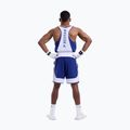 Spodenki treningowe męskie BOXRAW Stevenson V2 blue/white 3