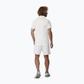 Koszulka męska Mizuno Stargazer Shadow Polo white 3