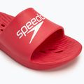 Klapki męskie Speedo Slide fed red 7