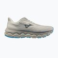 Buty do biegania męskie Mizuno Wave Horizon 9 foggy dew/dark slate/blue jewel 8