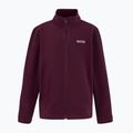 Bluza polarowa dziecięca REGATTA King II fig