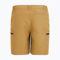 Spodenki trekkingowe męskie REGATTA Leesville III wood brown 7