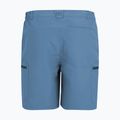Spodenki trekkingowe męskie REGATTA Leesville III china blue 6