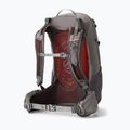 Plecak turystyczny damski Gregory Juno 24 l torch grey 2