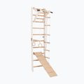 Drabinka gimnastyczna RINAGYM SPR A+SLIDE