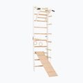 Drabinka gimnastyczna RINAGYM SPR A+SLIDE 2