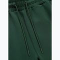 Spodenki męskie Pitbull Track Shorts Powers bottle green 6