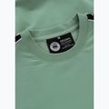 Bluza męska Pitbull Tape Nugget Crewneck Sweatshirt light mint 7