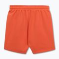 Spodenki męskie Pitbull Tape Nugget bright salmon 6