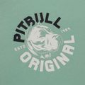 Bluza męska Pitbull Dog Sd Hooded Sweatshirt light mint 6