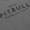 Bluza męska Pitbull Mt Fuji Crewneck Sweatshirt washed grey 4