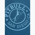 Bluza Pitbull Vintage Boxing Hooded Sweatshirt shade blue 11