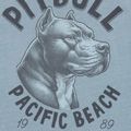 Koszulka męska Pitbull Pacyfic blue 9