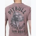 Koszulka męska Pitbull Pacyfic dusty burgundy 3