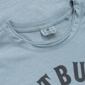 Koszulka męska Pitbull Shkull Logo blue 5
